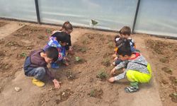 Konyaaltı'nın çocukları tohumları toprakla buluşturuyor