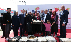 Pozantılı üreticiye 900 bin çilek fidesi daha dağıtıldı