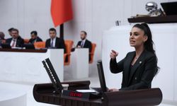 “Muğla’nın orman alanları ranta teslim edilemez!”