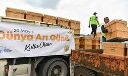 Ankara Büyükşehir'den 5 bin arı kovanı desteği