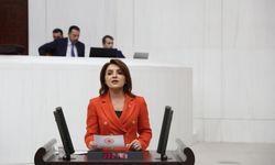 CHP'li Gülcan Kış: Tisan sadece bir koy değildir; Mersin’in hafızası