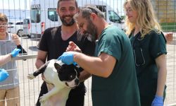 Başkan Ünlüce çağrıya kayıtsız kalmadı