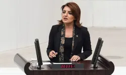 Gülcan Kış: “DSİ'nin görevini belediyelere yıkıyorlar”