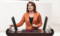 CHP Milletvekili Gülcan Kış: Asgari ücret artık açlık sınırının altında