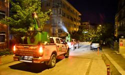 Ankara Büyükşehir'in ilaçlama mesaisi gece de sürüyor