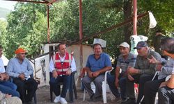Cem Kotan yangın bölgesinde incelemeler yaptı