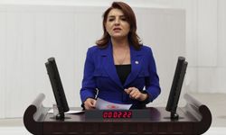 Gülcan Kış: AKP Anamurlu Üreticiyi İthalata Teslim Ediyor