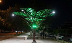 “Solar Ağaç” kent yaşamıyla buluştu