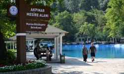 Manisalıların Akpınar Mesire Alanı Özlemi Sona Erdi