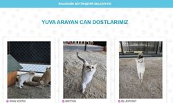 Binlerce can dost yuvalarına kavuştu