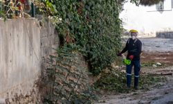 İzmir’in derelerinde kış seferberliği