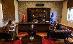 İrlanda ile İzmir arasında iş birliği görüşmesi