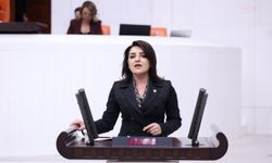 CHP'li Kış: Mersin Büyükşehir Belediyesiyle ilgisi olmayan görüntüler servis ediliyor