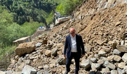 "Bakanlık doğa talanını doğruladı!"