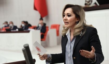 İyi Partili Cesur, elma üreticisinin feryadını Meclis'e taşıdı