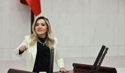 "Bakanlık teller çürüyünceye kadar neden denetlemedi?"