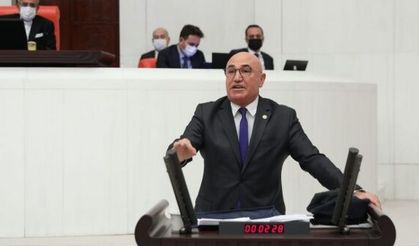 Hasankeyf'in sorunları Meclis gündeminde