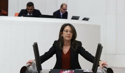 "Edirne'de doğa katliamı yaşanıyor"