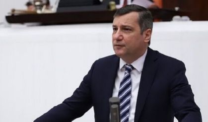 "Kaz Dağları'ndan 155 bin ağaç kesilecek!"