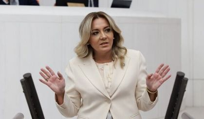 İyi Partili Cesur, işçi ölümlerini Meclis'e taşıdı