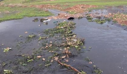 Şanlıurfa Cezaevi'nde kanalizasyon skandalı!