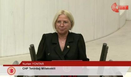 CHP'li Yontar kadın cinayetlerini sordu