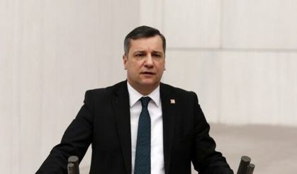 CHP'li Ceylan: "12 saray yetmedi mi?"