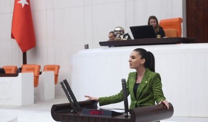 CHP'li Özcan, çocukların yetersiz ve sağlıksız beslenmesini Meclis gündemine taşıdı