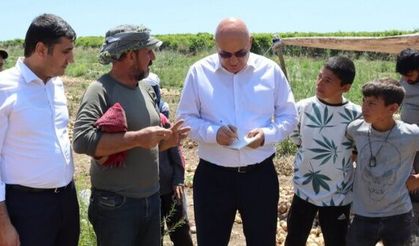 CHP'li Tanal'dan mevsimlik tarım işçileri için kanun teklifi