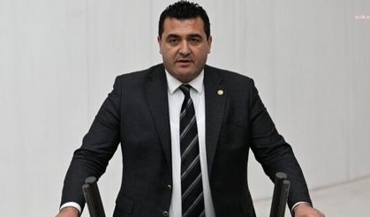 CHP'li Karasu: "Vatandaş kül soluyor, ne zaman önlem alacaksınız?"