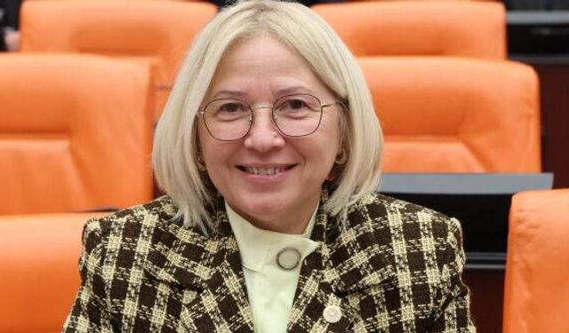 CHP'li Yontar'dan maden kanununa tepki