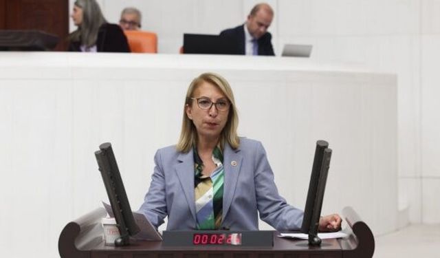 CHP'li vekilden Bakan Yerlikaya'ya göç soruları