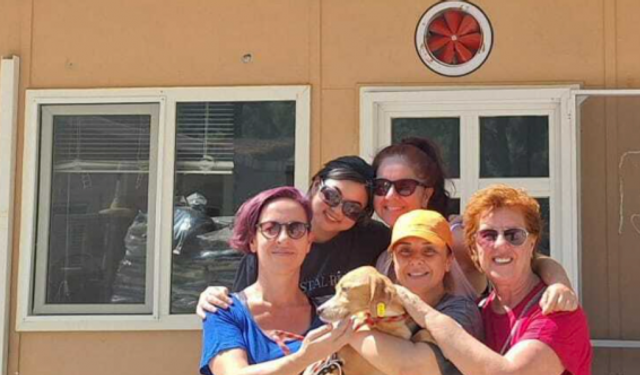 Marmaris Belediyesi Hayvan Rehabilitasyon Merkezi, 7 ayda 157 can dostu sahiplendirdi