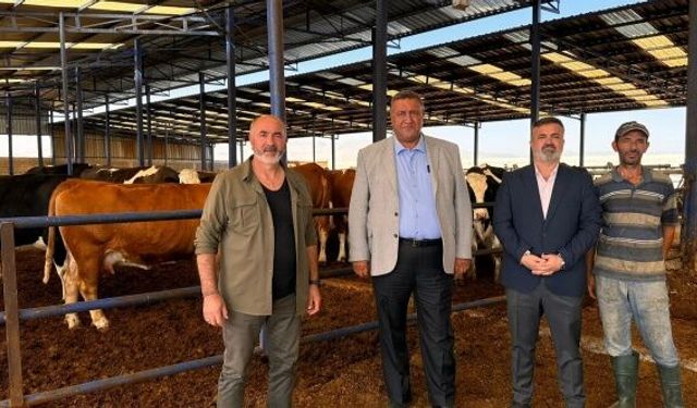 CHP'li Gürer: “Hayvancılıkta süreç doğru yönetilemiyor”