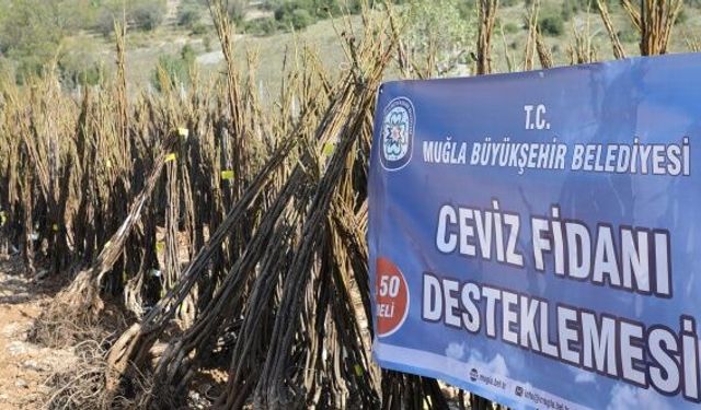 Muğla Büyükşehir'den “Her Kapıda Bir Fidan” projesi