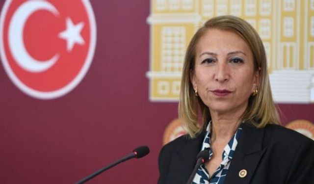 CHP'li vekil, Almanya ile yapılan sığınmacı anlaşmasını Meclis'e taşıdı