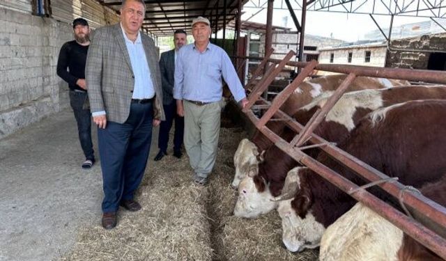 Gürer: “Süt üreticisinin zararına üretim yaptığı itiraf edildi”