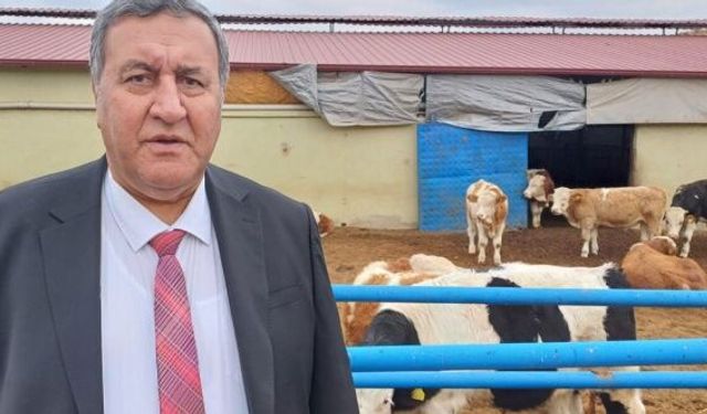 Gürer: “Tarımda Plansızlık, Cebimize Pahalıya Patlıyor”
