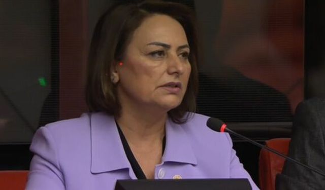 CHP'li Şevkin, elektrik ve akaryakıt zamlarına tepki gösterdi