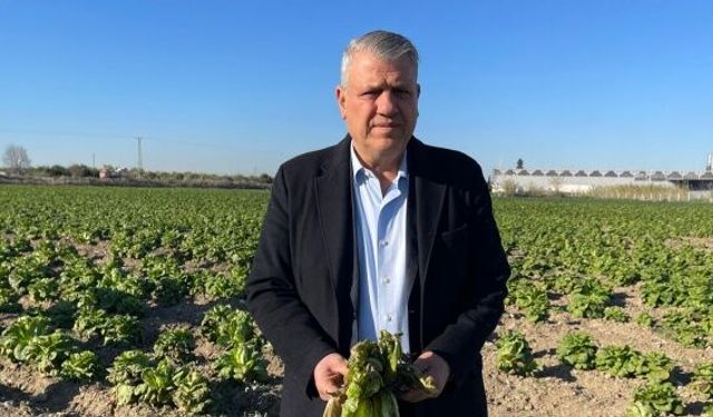 "Doğu Akdeniz'de çiftçiler buz kesti"