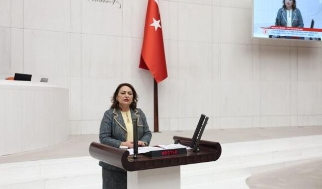 “TÜBİTAK siyasallaşıyor, KOSGEB’in içi boşaltılıyor”