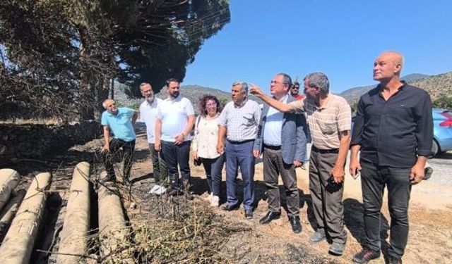 CHP'li Karakoz: "Orman şehitlerimize biraz olsun vicdanınız sızladıysa istifa edin"