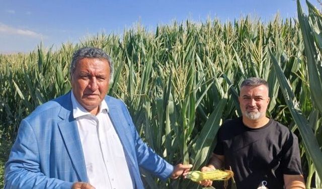 CHP'li Gürer: “Tarımsal atıklar yakıta dönüştürülmelidir”