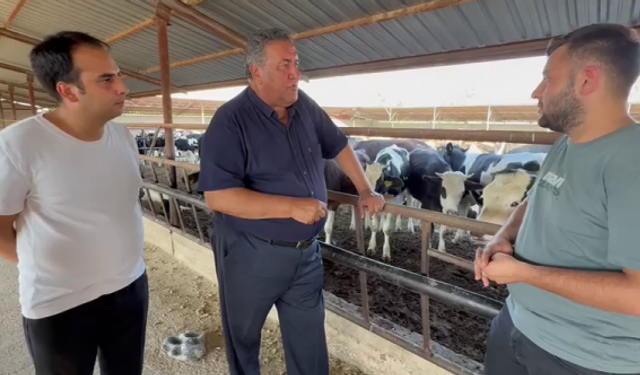 CHP'li Ömer Fethi Gürer: “Şap yayılıyor mu, önlendi mi?”