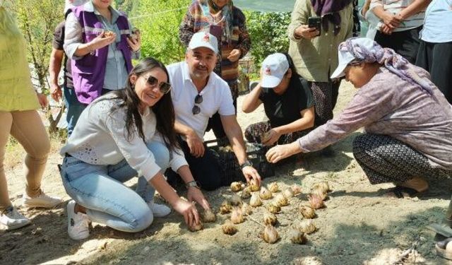 Kırsalda kadınların güçlendirilmesine yönelik projelere bir yenisi eklendi