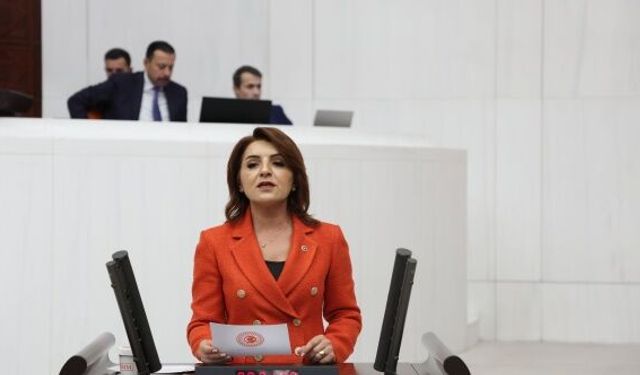 “Bir yanda milyar euroluk kaynaklar, diğer yanda susuz kalan tarlalar!”