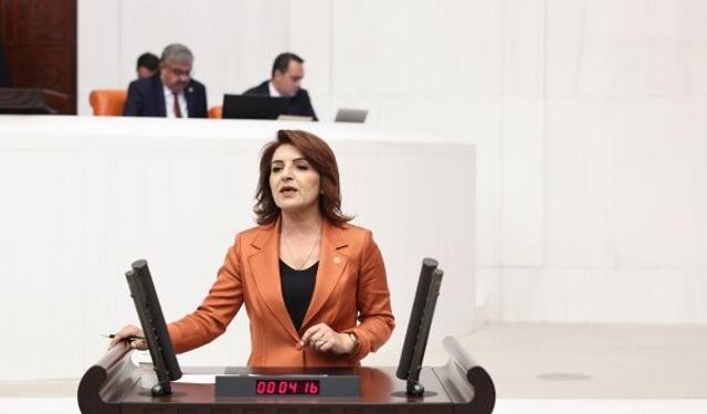 CHP’li Kış: “Yönetemiyorsunuz, gerçekler gün gibi ortada!”