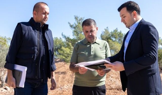 Mezitli Belediyesi'nden sokak hayvanları için "Doğal Yaşam Alanı"