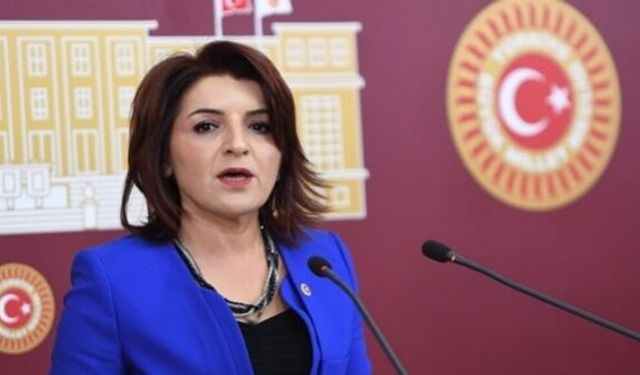 Gülcan Kış'tan Meclis'te tarihi Mersin çıkışı