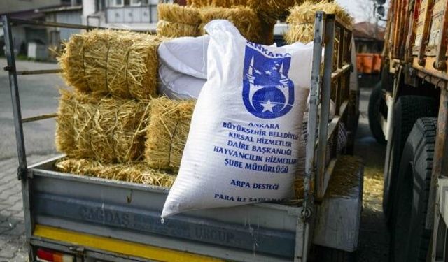 Ankara Büyükşehir'in kırsa kalkınma destekleri sürüyor